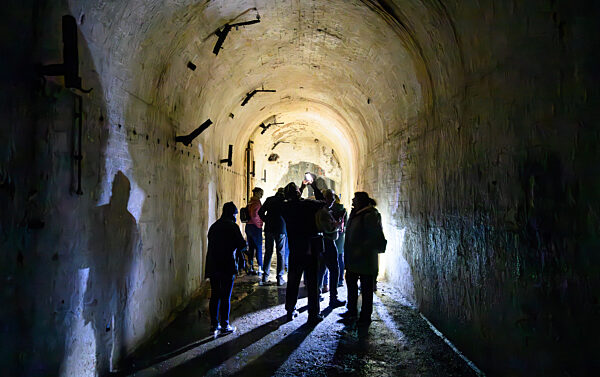 Fledermausquartier in Gewölben von alter Brauerei