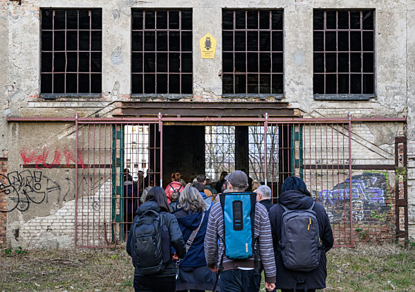 Fledermausquartier in Gewölben von alter Brauerei