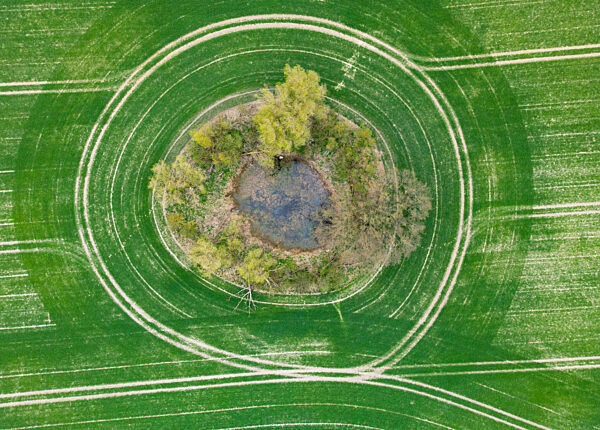 Grüne Oase im grünen Feld