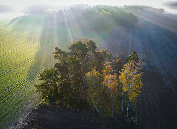 Morgenstimmung in Brandenburg