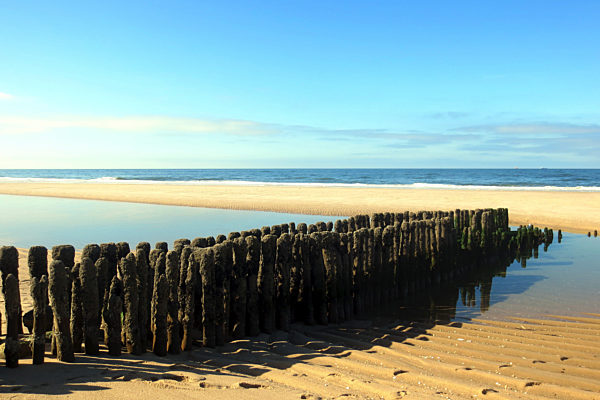 groyne