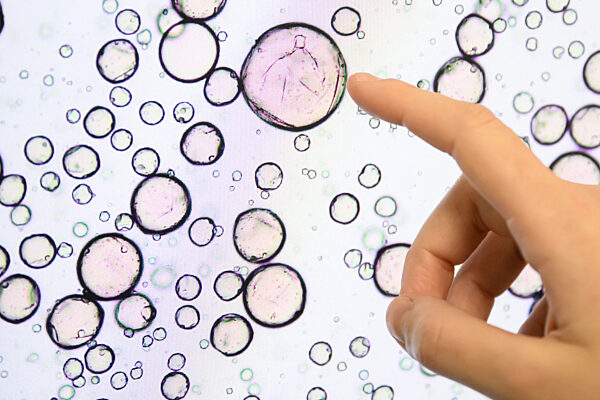 Symrise AG in Holzminden