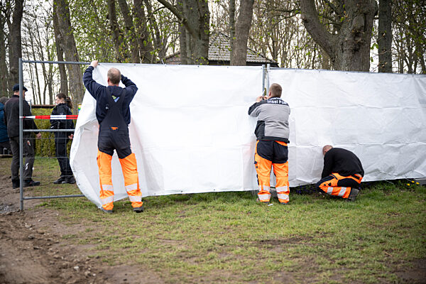 Buckelwal vor der Insel Poel