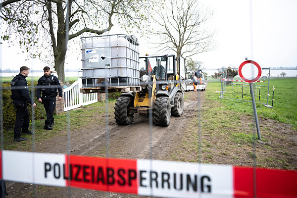 Buckelwal vor der Insel Poel