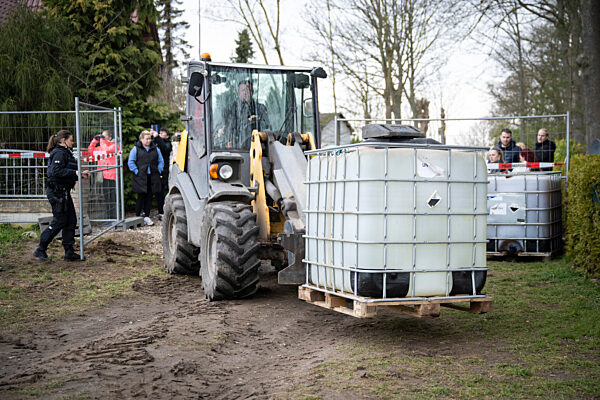 Buckelwal vor der Insel Poel
