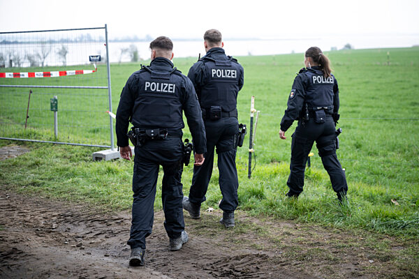 Buckelwal vor der Insel Poel