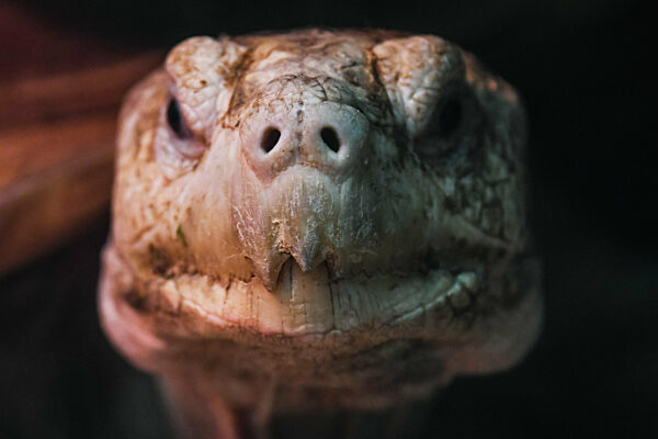 Yekaterinburg Zoo. Ekaterinburg