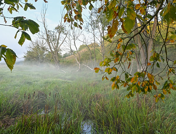 Herbstmorgen am Grenzfluss Oder