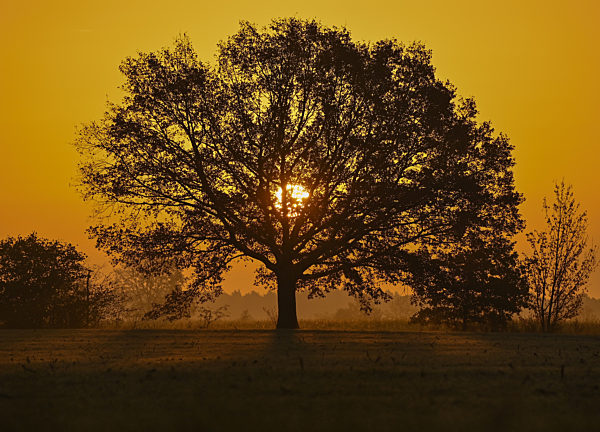 Sonnenaufgang in Brandenburg