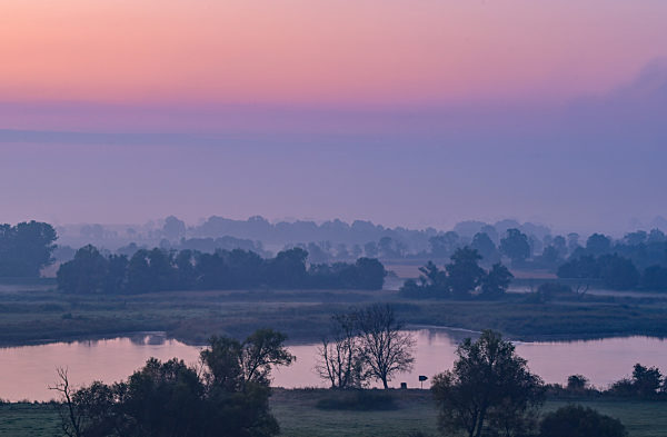 Morgenstimmung am Grenzfluss Oder