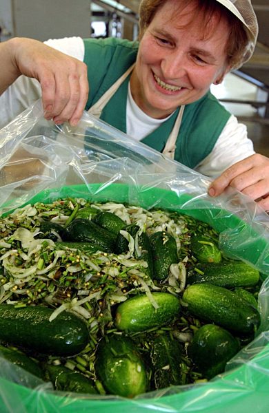 Gurkenverarbeitung im Spreewald
