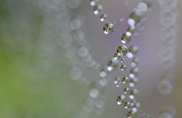 Herbst in Brandenburg
