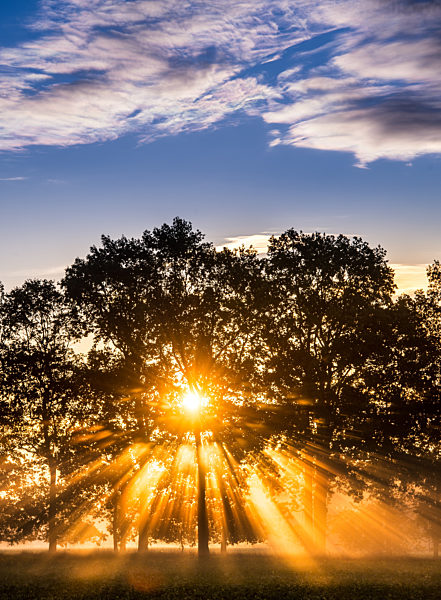 Goldener Herbstmorgen
