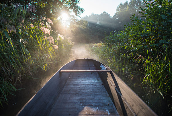Morning mood in the Spreewald