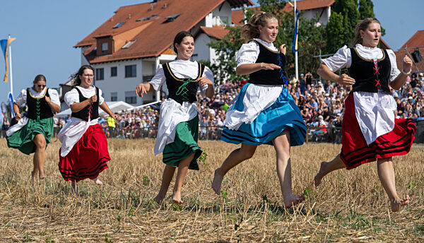 Historischer Schäferlauf auf dem Stoppelfeld