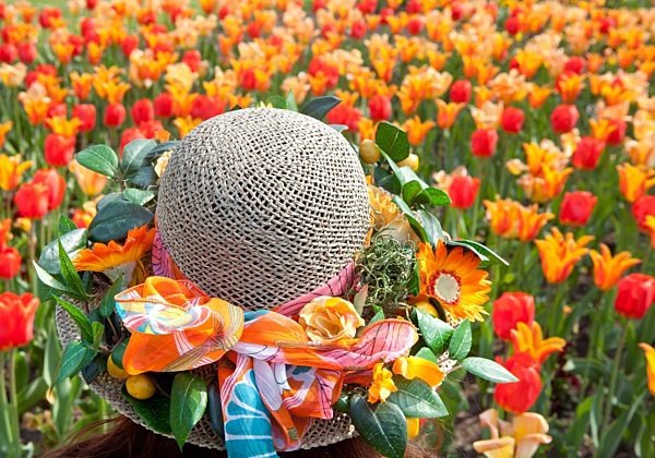 Egapark feiert 50-jähriges Bestehen