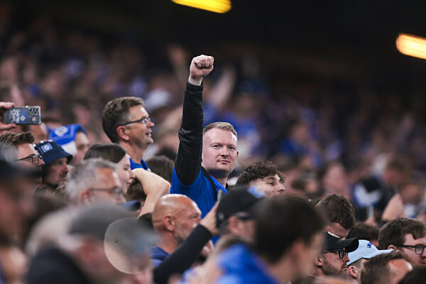 Hamburger SV - SSV Ulm 1846