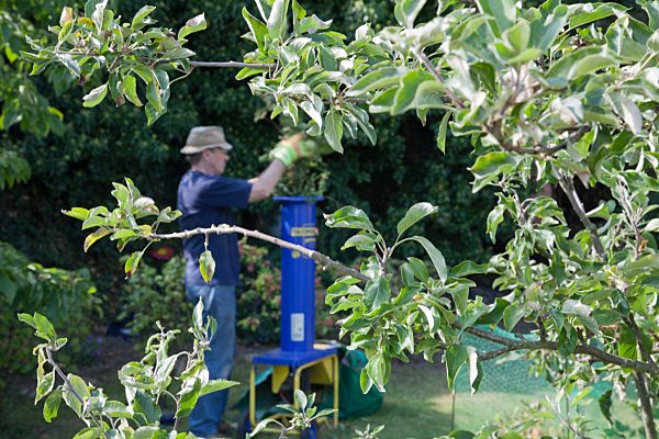 Baumschnitt häckseln