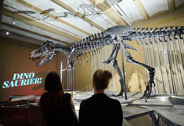 Tristan Otto wieder in Berlin: Dino-Austellung