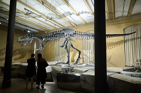 Tristan Otto wieder in Berlin: Dino-Austellung