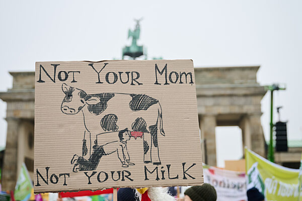 90. Internationale Grüne Woche - Demonstration