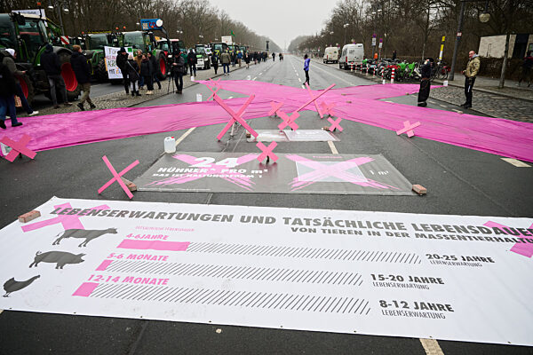 90. Internationale Grüne Woche - Demonstration