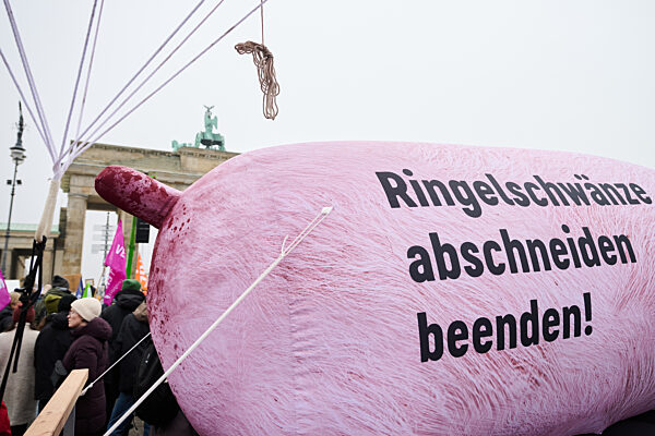 90. Internationale Grüne Woche - Demonstration