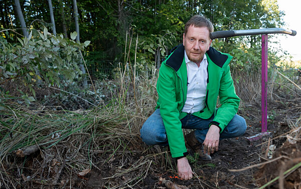 Große Wiederaufforstungsaktion im Königshainer Forst