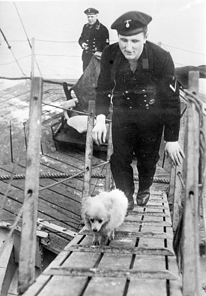 II. WK - Kriegsmarine - Bordhund 1942