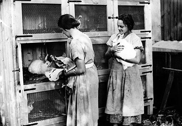 III. Reich - Mädchenpflichtjahr in Land- und Hauswirtschaft