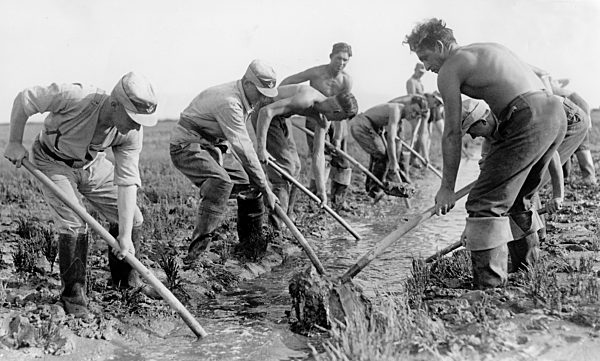 III. Reich - Reichsarbeitsdienst im Einsatz 1934