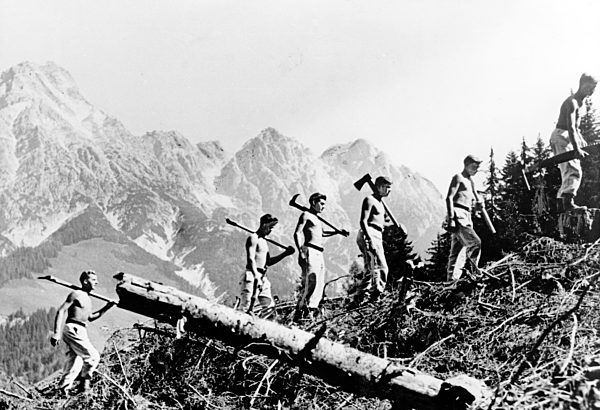 II. WK - Reichsarbeitsdienst im Kriegseinsatz als Holzfäller 1943