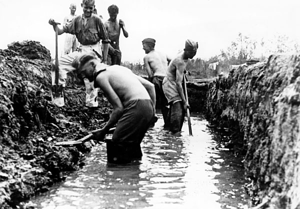 II. WK - Ostfront - Reichsarbeitsdienst im Kriegseinsatz 1942