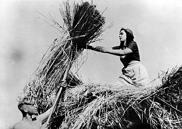 II. WK - Frauen vom Reichsarbeitsdienst als Erntehelferinnen 1944