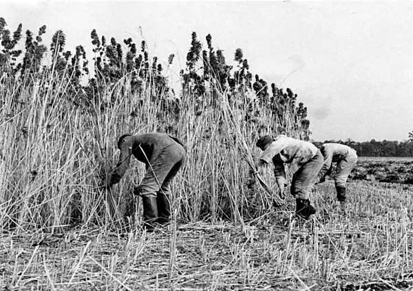 III. Reich - Reichsarbeitsdienst im Einsatz 1938