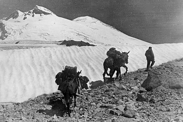 Drittes Reich - II. WK - Ostfront 1942