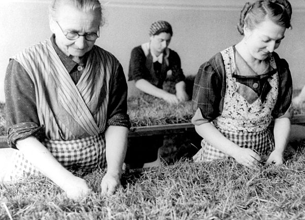II. WK - Frauen - Arbeit für die Rüstung 1942