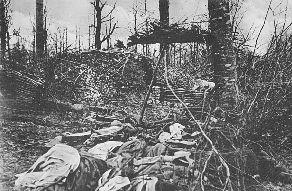 I. WK - Schlacht um Verdun 1916