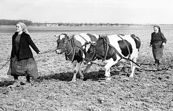 II. WK - Landwirtschaft im Krieg um 1942