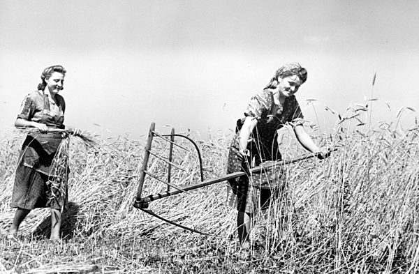 II. WK - Landwirtschaft im Krieg um 1940