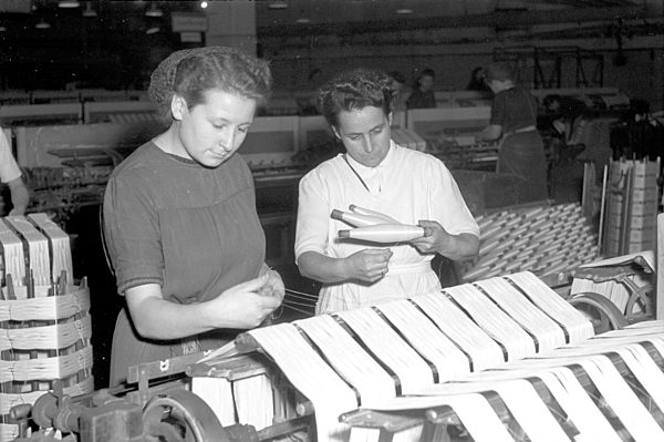 DDR - Kunstseidenwerk 1952