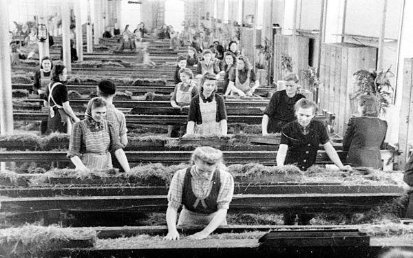 II. WK - Frauen in der Rüstung 1943/1944