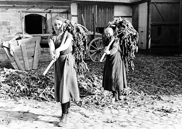 III. Reich - Reichsarbeitsdienst 1930er/40er Jahre