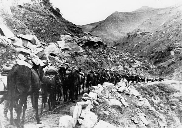 WW II -The Eastern Front - Caucasus Mountains 1942