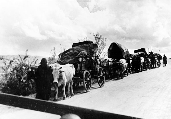 II. WK - Deutsche Truppen in Griechenland 1941