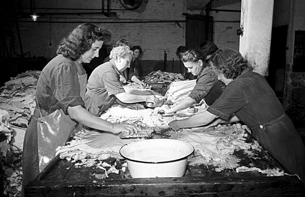 DDR - VEB Edelpelz Leipzig um 1957