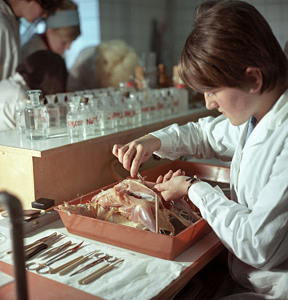 DDR - Landwirtschaftsschule um 1969