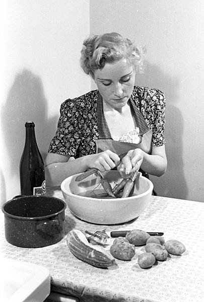 DDR - Hausarbeit 1954