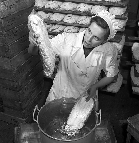 DDR - Dresdner Christstollen 1954