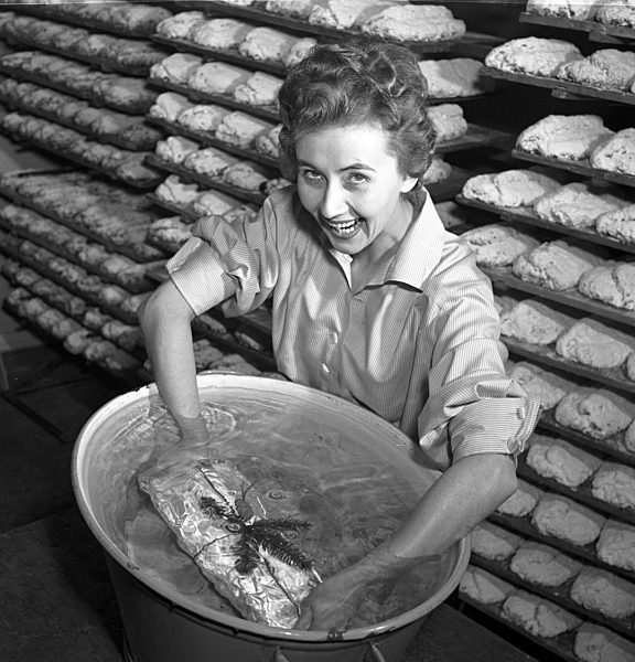 DDR - Dresdner Christstollen 1954